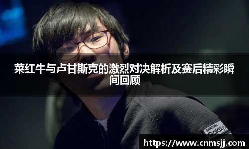 菜红牛与卢甘斯克的激烈对决解析及赛后精彩瞬间回顾