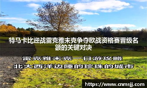 6163银河net163